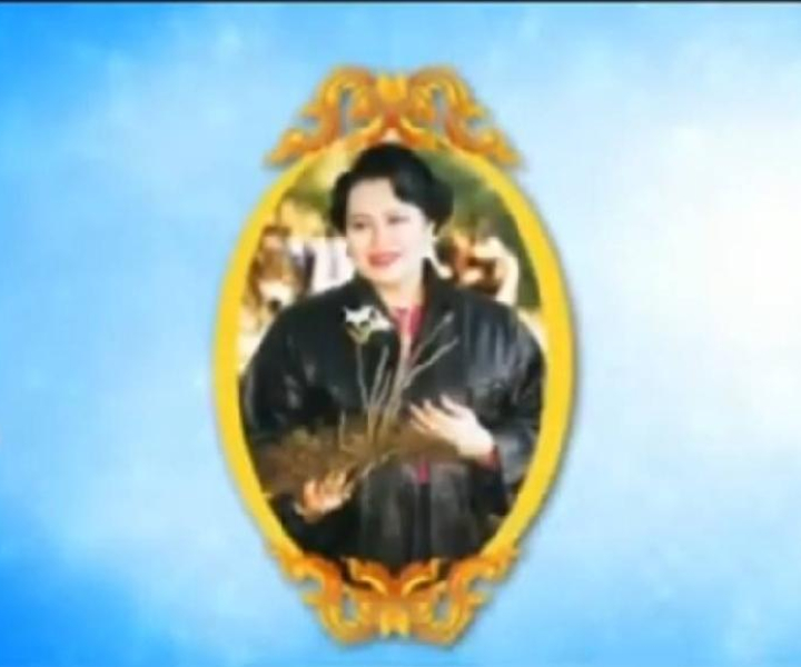 สารคดี 10 ปี ธนาคารสมอง ธนาคารแห่งภูมิปัญญา